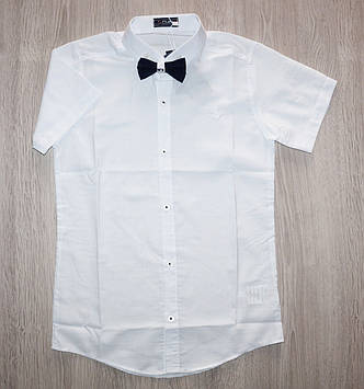 Сорочка для хлопчика з коротким рукавом біла