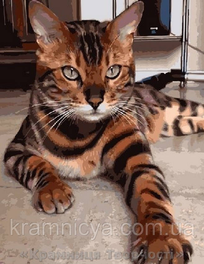 Картина за номерами Brushme 40х50 Бенгальський кіт (GX3801), фото 1