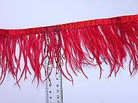 Перьевая тесьма, перья страуса на тесьме, страусиные перья. Красная 9-10 см. Цена за 1 метр