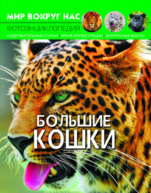 Книга Мир вокруг нас. Большие кошки | фотоэнциклопедия Бао, фото 1