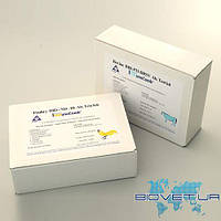 Тест-набор ИммуноКомб® (Bovine brucella antibody)