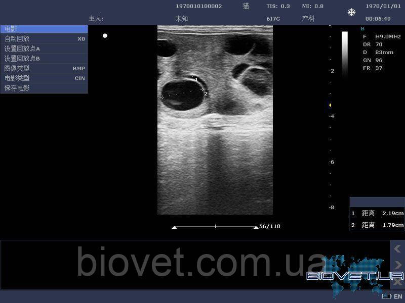 Ветеринарный УЗИ сканер DCU10 - фото 7 - id-p967829141