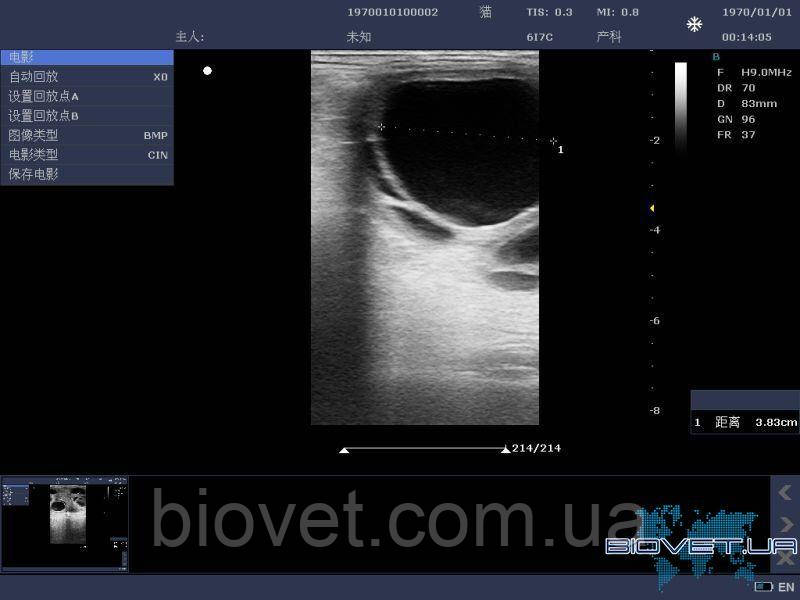 Ветеринарный УЗИ сканер DCU10 - фото 9 - id-p967829141