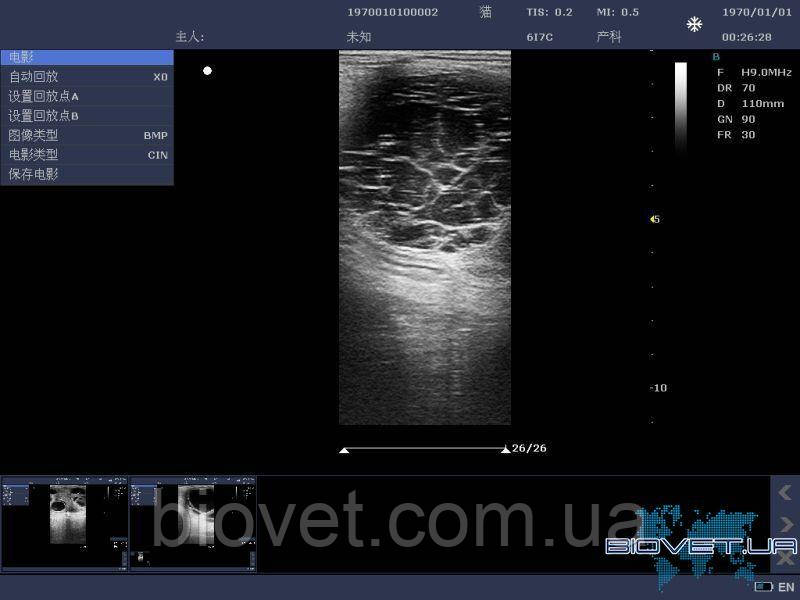 Ветеринарный УЗИ сканер DCU10 - фото 10 - id-p967829141