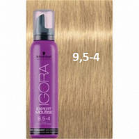 Oттeнoчный мycc Schwarzkopf IGORA Expert Mousse 9.5-4 Плaтинoвый Блoндин Бeжeвый 100 мл