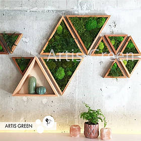 Дерев'яна плитка зі стабілізованим скандинавським мохом