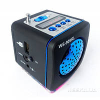 Цифровий Міні Приймач WSTER WS-909RL USB SD MP3