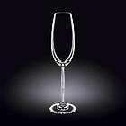 Набір келихів для шампанського Wilmax 6 штук 230 мл скло (888027 WL)