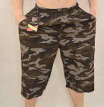 Бриджі чоловічі камуфляж 5 кишень - великі розміри (Розмір 70), фото 2