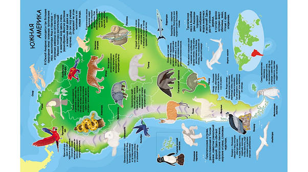 Пегас Атлас тварин з наліпками, фото 3