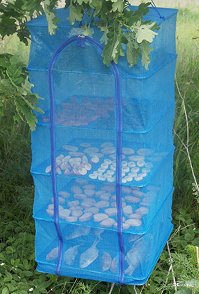 Сушарка для риби, грибів, сухофруктів, посилений каркас на 5 полиць 40*40*100, фото 1