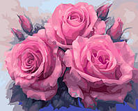 Раскраска по номерам Три пышные розы (BRM7903) 40 х 50 см