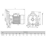 Поверхневий насос Euroaqua СРМ 158 - 1, фото 2