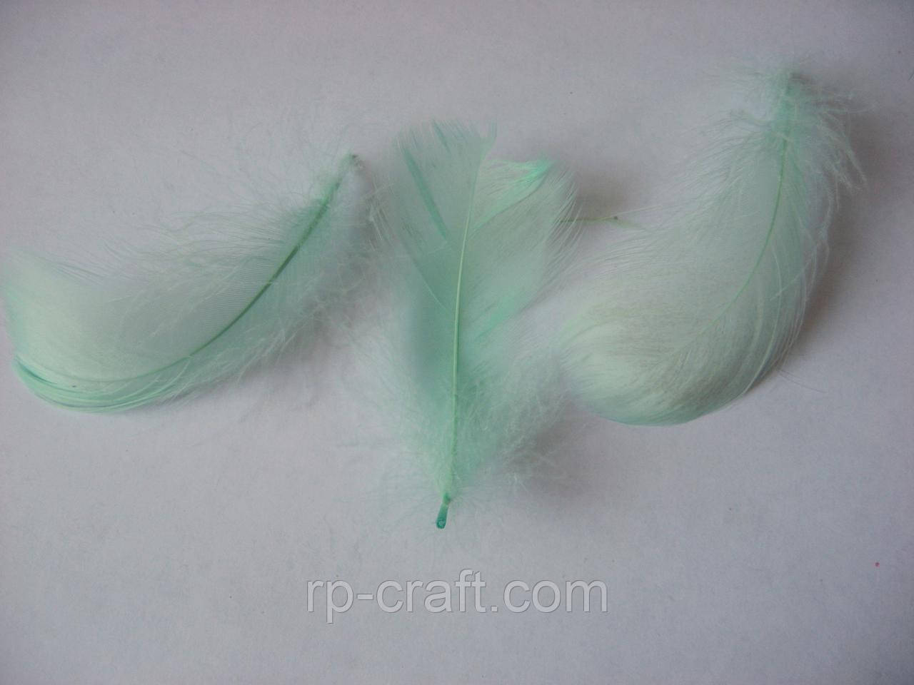 Перо петушине, від 8 до 16 см, м'ятне, фото 1