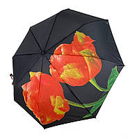 Жіноча парасоля напівавтомат Swifts "Тюльпани" чорний колір, 18035-2