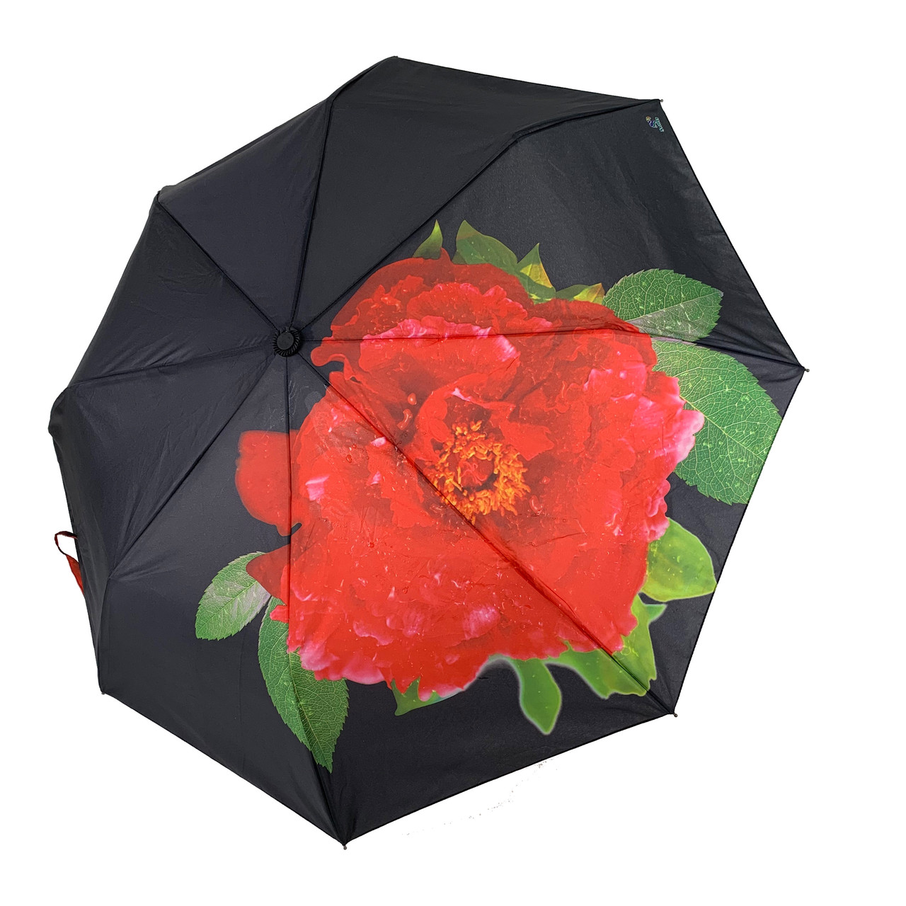 Жіноча парасоля напівавтомат Swifts "Кущова троянда" чорний колір, 18035-4