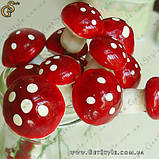Декоративні грибочки — "Mushrooms" — 25 шт., фото 5