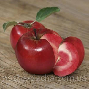 Яблуня червоном'яса Ера (осіння)
