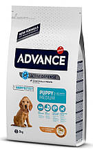 Сухий корм ADVANCE Puppy Medium 3 кг для цуценят середніх порід