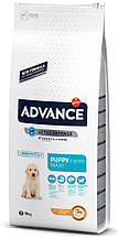 Сухий корм ADVANCE Puppy Maxi для цуценят великіх порід 12 кг