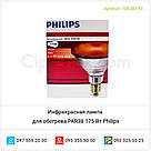 Інфрачервона лампа для обігрівання PAR38 175 Вт Philips, фото 5