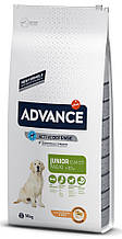 Сухий корм ADVANCE Maxi Junior 14 кг для молодих собак великих порід