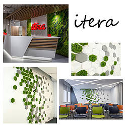 ОЗЕЛЕНЕННЯ ТА ПЛИТКА ДЛЯ КОМПАНІЇ ITERA