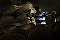 «Райська» кава з Гаїті