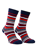 Шкарпетки Mushka Multi stripe (MST001) 41-45, фото 2