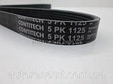 Поликлиновый (ручейковый) ремень на Рено Трафик 01-> 1.9dCi (без конд.) — ContiTech (Германия) 5PK1125, фото 2