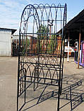 Арка кована пергола арт дс 13, фото 6