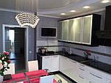 Чорно-біла кухня будь-якої складності ViAnt - Київ та область, фото 4