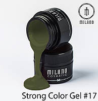 Strong Color Gel 17 - гибрид гель лака и гель краски.