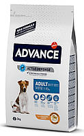 Сухий корм ADVANCE Mini Adult 3 кг для дорослих собак маленьких порід