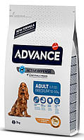 Сухий корм ADVANCE Medium Adult 3 кг для дорослих собак середніх порід