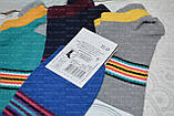 Жіночі шкарпетки, Короткі, р.36-39 (23-25). Україна, фото 3