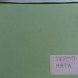 Рулонна штора міні Термо 68/170, фото 8