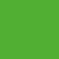 Картон кольоровий PMB No55 Трав'яний зелений 300 г/м2 50х70 см FOLIA