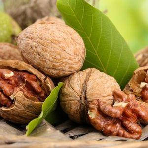 Саджанці Волоського горіха Кочерженко - (3 річний) - раннього терміну, урожайний, морозостійкий