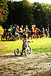 Дитячий біговел триколісний Trybike, фото 8