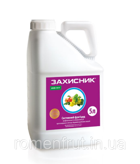 Захисник (Топсін М)