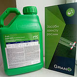 Фунгіцид Болівар Форте 5л. Alfa smart agro, фото 3
