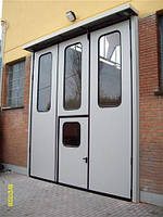 ворота з вікнами