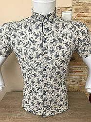 АКЦІЯ! Сорочка короткий рукав PIERRINI