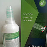 Гербіцид Рамзес  0,5 кг. Alfa smart agro, фото 3