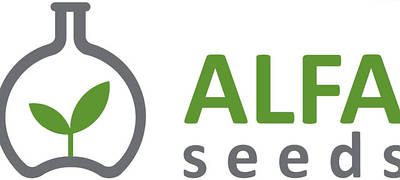Насіння соняшнику ALFA seeds