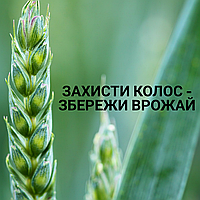 Захисти колос – збережи врожай!