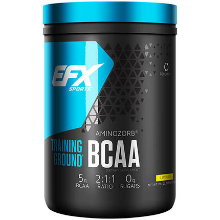 Амінокислоти EFX Sports Training Ground BCAA 500 г (63-71 порц.), фото 1