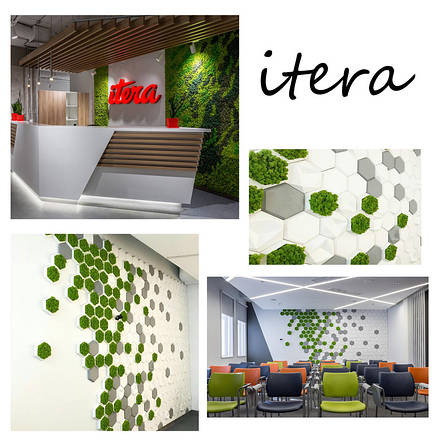 Озеленення та плитка для компанії Itera