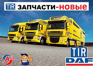 Запчастини Даф (DAF XF 95) 105 CF 85 75 65 LF 45 55 на вантажівки